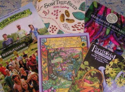 It’s January: Time to Plan Your Garden Image